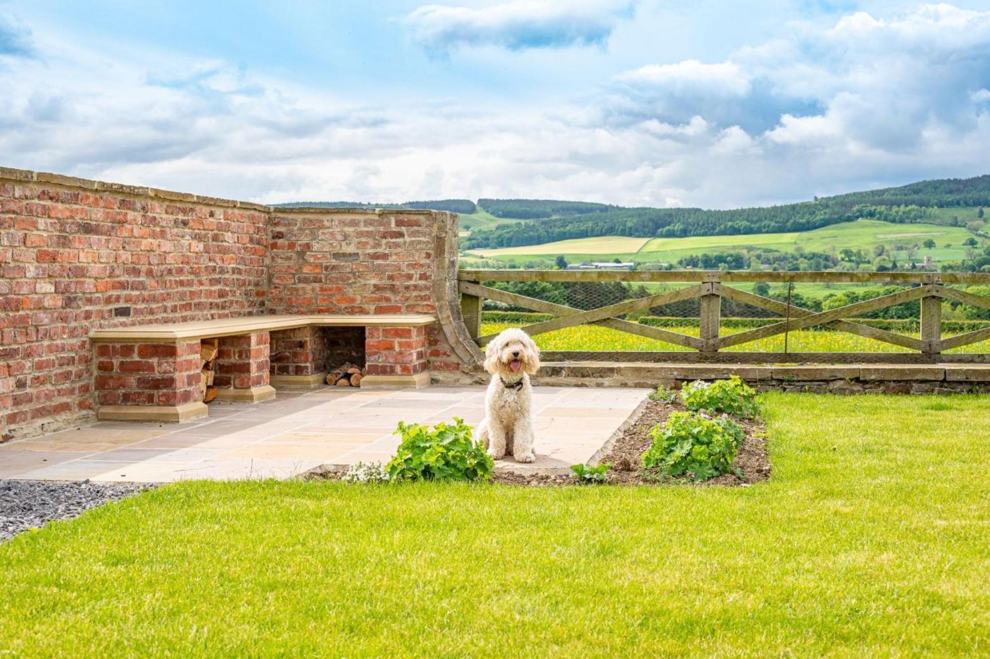 Hollins Farmhouse Leyburn Extérieur photo